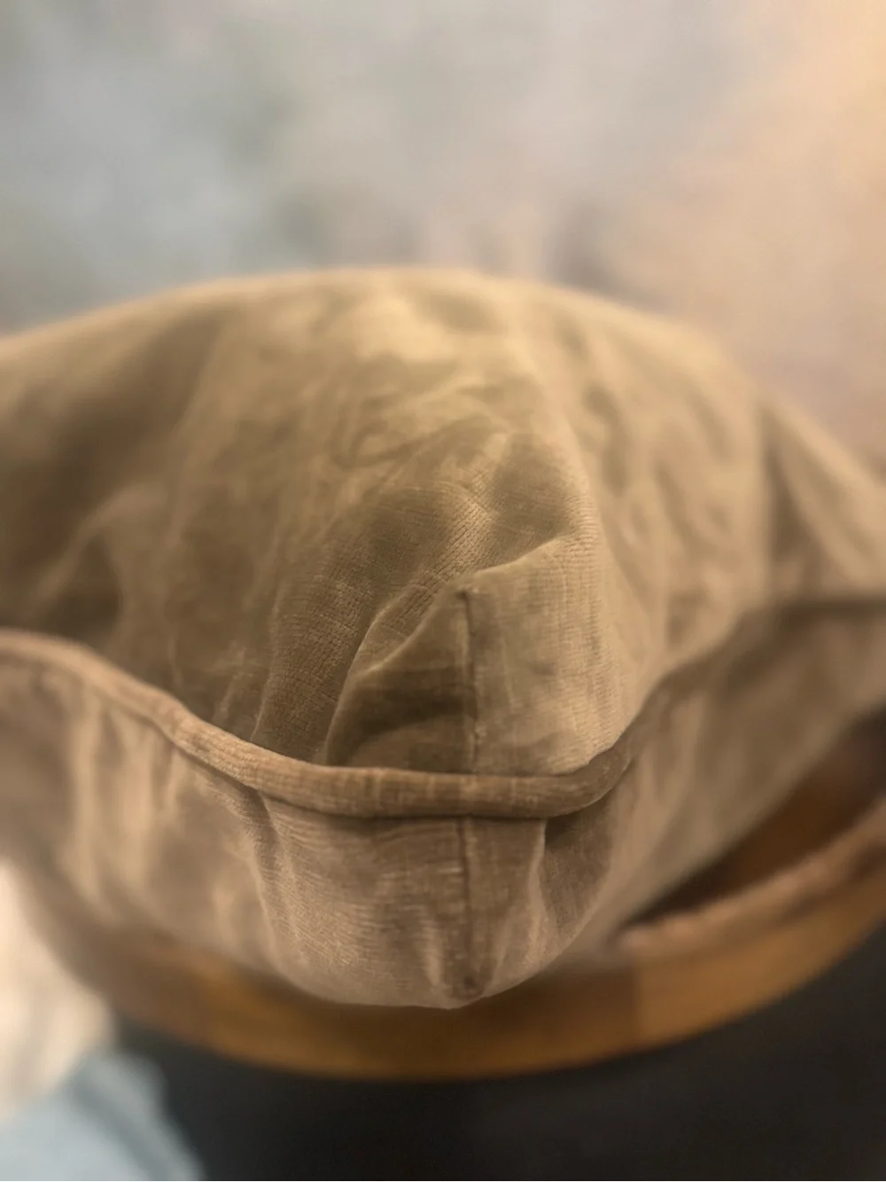 Restoration Hardware ~ Decorative Velvet Pillow Cover